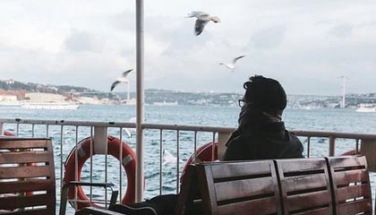 小岛秀夫客串出演《疯狂动物城2》